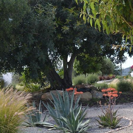 Quinta Luz Do Sol Bed & Breakfast Монкарапашо Екстериор снимка