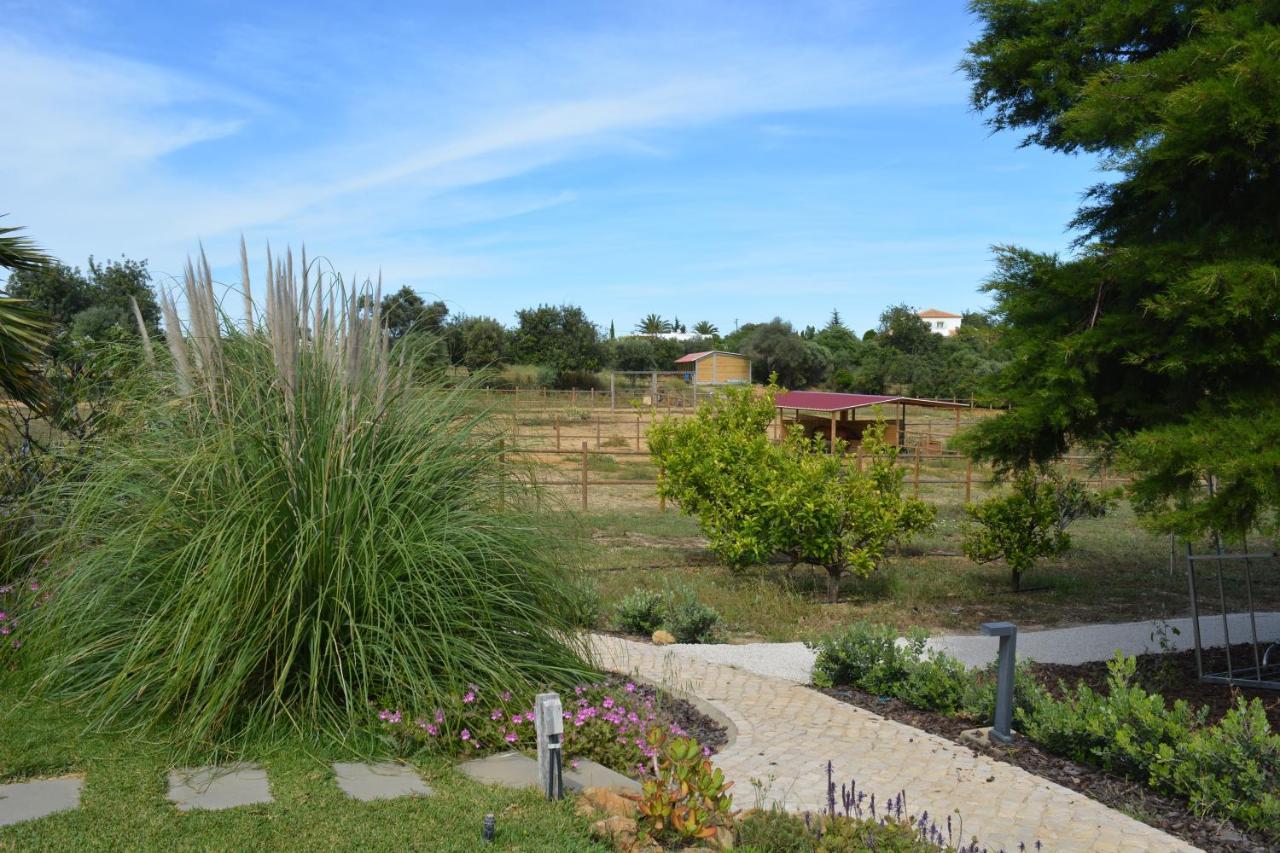 Quinta Luz Do Sol Bed & Breakfast Монкарапашо Екстериор снимка
